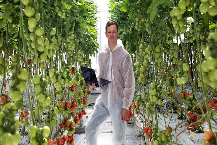 Griekse tuinbouwsector biedt kansen Nederland Griekse tuinbouwsector biedt kansen Nederland
