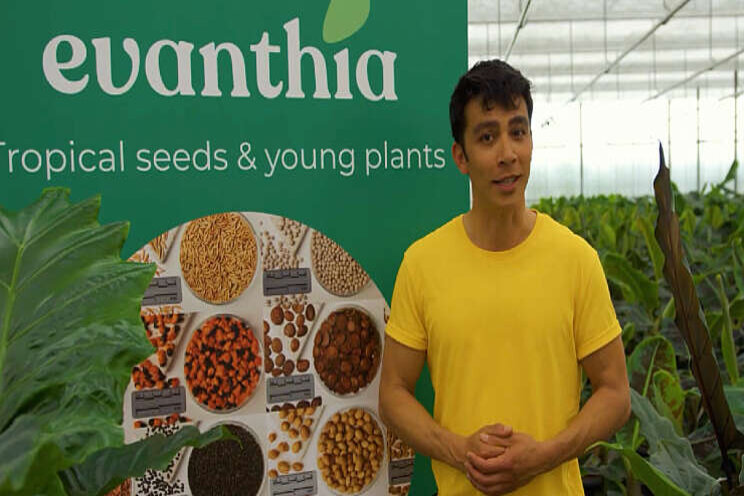 Evanthia 'On Tour' in week 24 Evanthia 'On Tour' in week 24