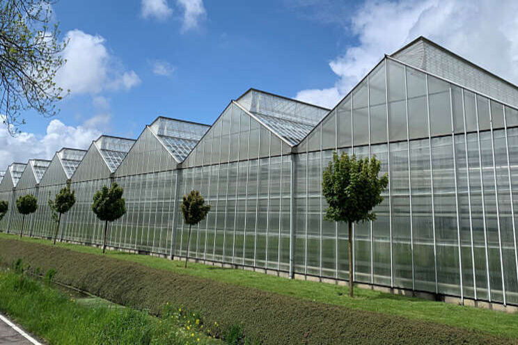'Op gewasbescherming besparen met insectengaas' 'Op gewasbescherming besparen met insectengaas'