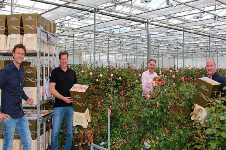 Parfum Flower Company verkoopt rozen Dümmen Parfum Flower Company verkoopt rozen Dümmen