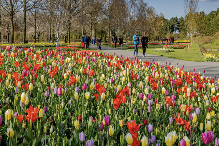 Keukenhof alweer gesloten Keukenhof alweer gesloten