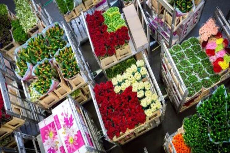 VGB stopt het overleg met Royal FloraHolland VGB stopt het overleg met Royal FloraHolland