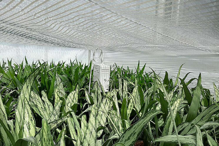 Breed onderzoek naar effect hogere Hortiscatter Breed onderzoek naar effect hogere Hortiscatter