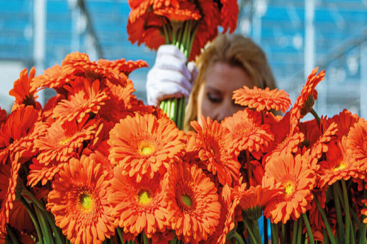 Digitaal magazine Topsectoren over impact innovatie Digitaal magazine Topsectoren over impact innovatie
