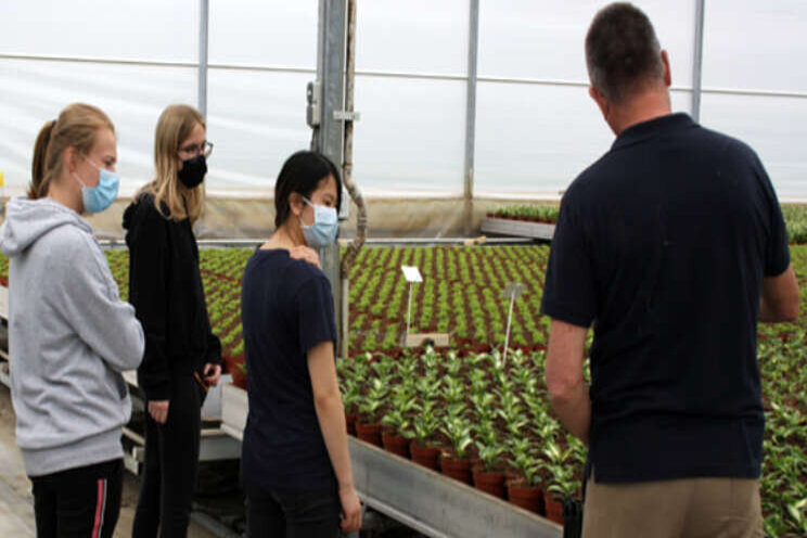 Go Go Greenhouse naar Oostland Go Go Greenhouse naar Oostland