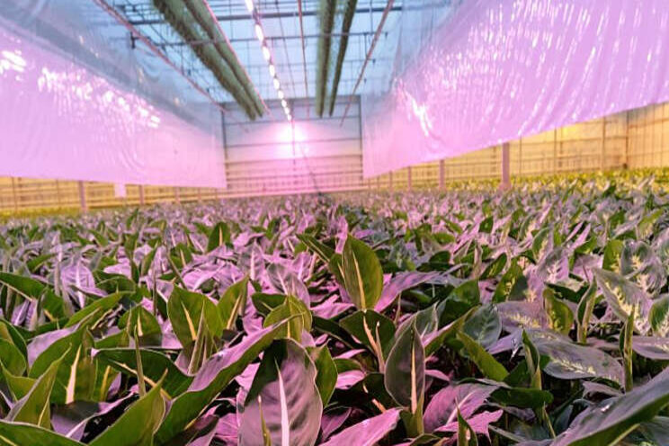 Is dynamische sturing de volgende stap voor LED? Is dynamische sturing de volgende stap voor LED?
