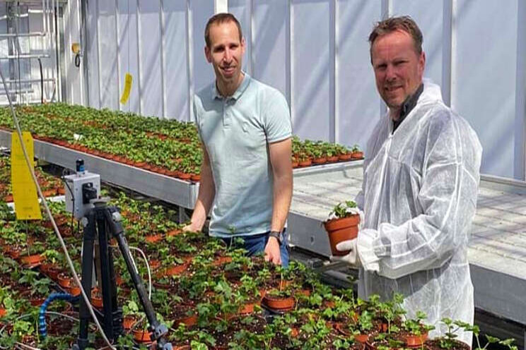 PARperfect succesvol in plantenproef bij Delphy PARperfect succesvol in plantenproef bij Delphy
