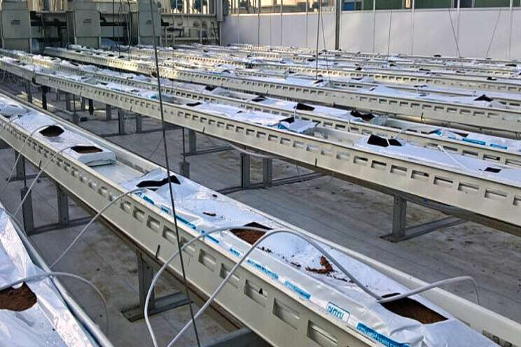 Meststoffen maken op basis van water en lucht Meststoffen maken op basis van water en lucht