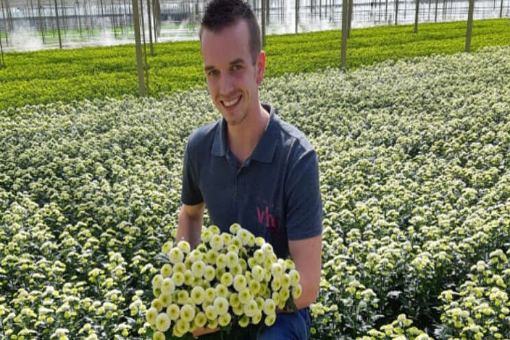 Chrysant met toepasselijke naam... Chrysant met toepasselijke naam...