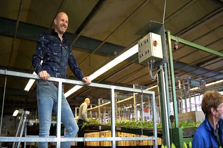 Project Vitale Lelieteelt 2030 boekt succes (video) Project Vitale Lelieteelt 2030 boekt succes (video)