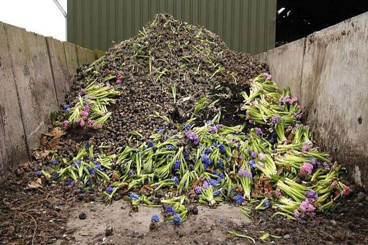 Reststromen tuinbouw worden bouwmaterialen Reststromen tuinbouw worden bouwmaterialen