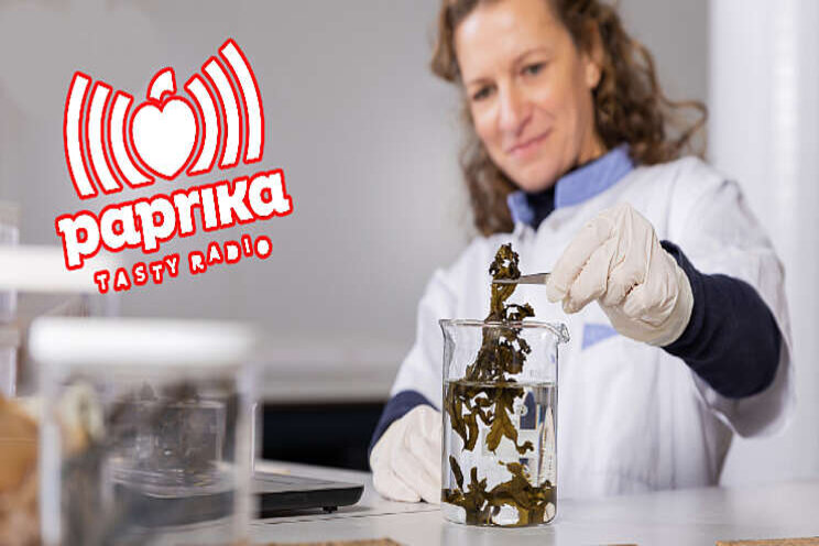 Paprika twee weken in teken van circulaire tuinbouw Paprika twee weken in teken van circulaire tuinbouw