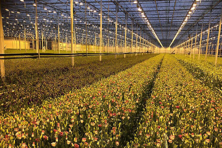 Invloed bovenbuis op verdamping is verwaarloosbaar Invloed bovenbuis op verdamping is verwaarloosbaar