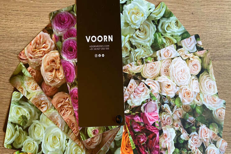 VOORN Spray Roses lanceert productwaaier VOORN Spray Roses lanceert productwaaier
