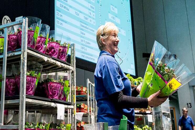 'Tijd voor een goed imago sierteeltsector' 'Tijd voor een goed imago sierteeltsector'
