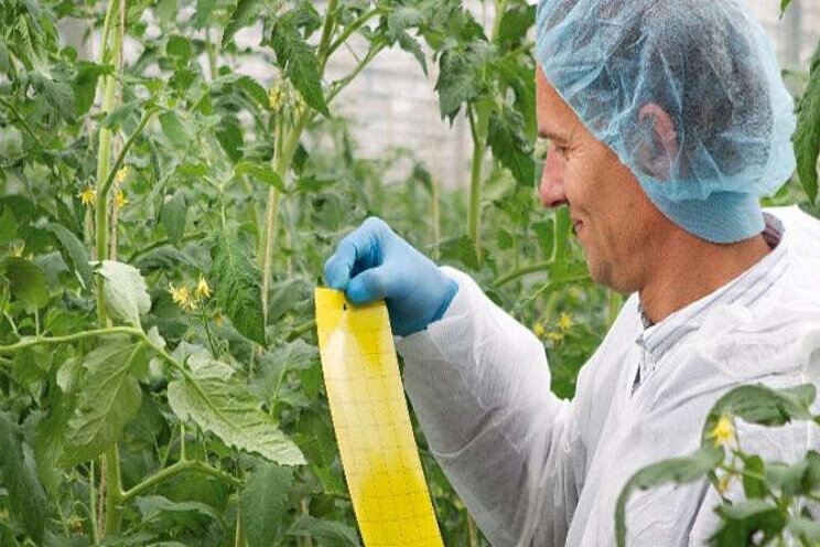 Alles lezen over biologische gewasbescherming Alles lezen over biologische gewasbescherming