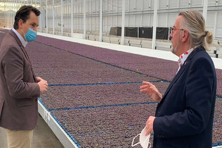 Politiek bezoek Koppert Cress Politiek bezoek Koppert Cress