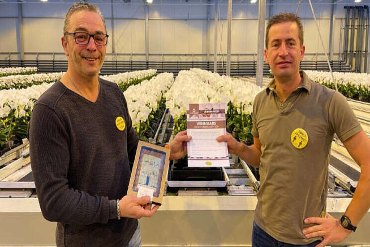 Golden Singolo naar medewerkers Opti-flor Golden Singolo naar medewerkers Opti-flor