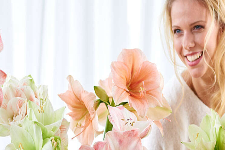 Steel het hart van jouw klant... met Amaryllis Steel het hart van jouw klant... met Amaryllis