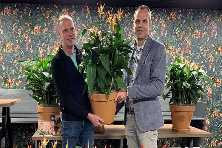 HouwenPlant breidt plantenassortiment uit HouwenPlant breidt plantenassortiment uit