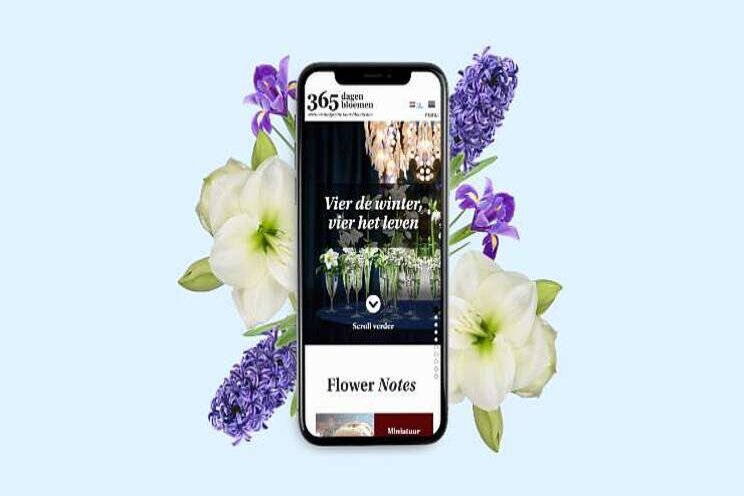 365 dagen bloemen-winter nu online beschikbaar