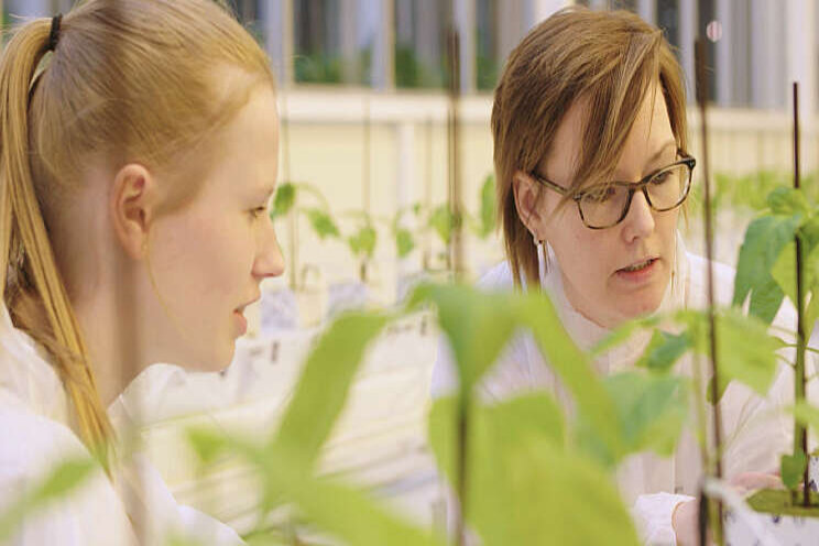 Video: Topsector T&U Video: Topsector T&U