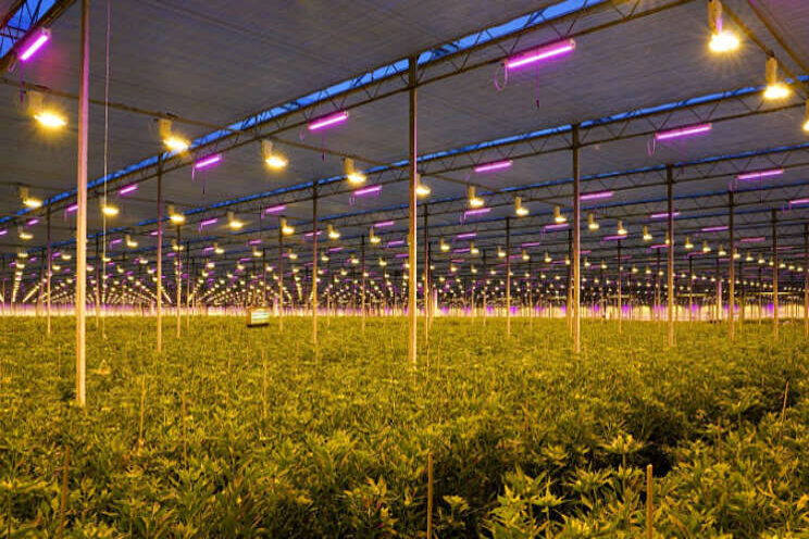 Kwaliteitsverbetering door LED 'indrukwekkend' Kwaliteitsverbetering door LED 'indrukwekkend'